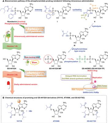 Oral GS-441524 derivatives: Next-generation inhibitors of SARS‐CoV‐2 RNA‐dependent RNA polymerase